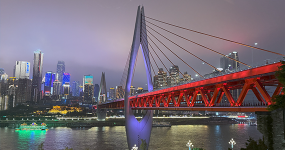 滨海新区电商域名注册流程表查询