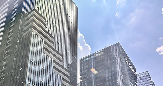 域名电子商标查询